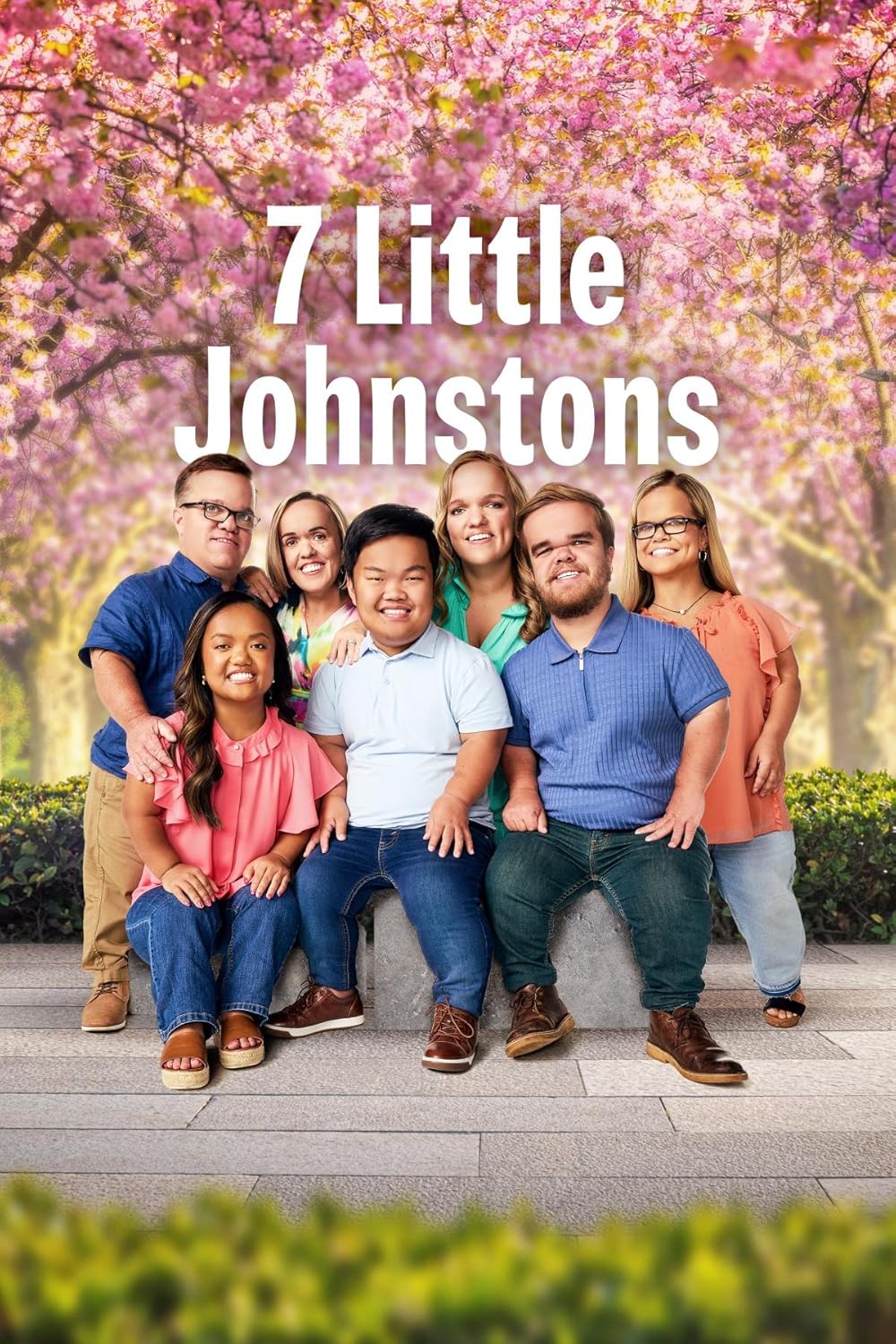 7 Little Johnstons 