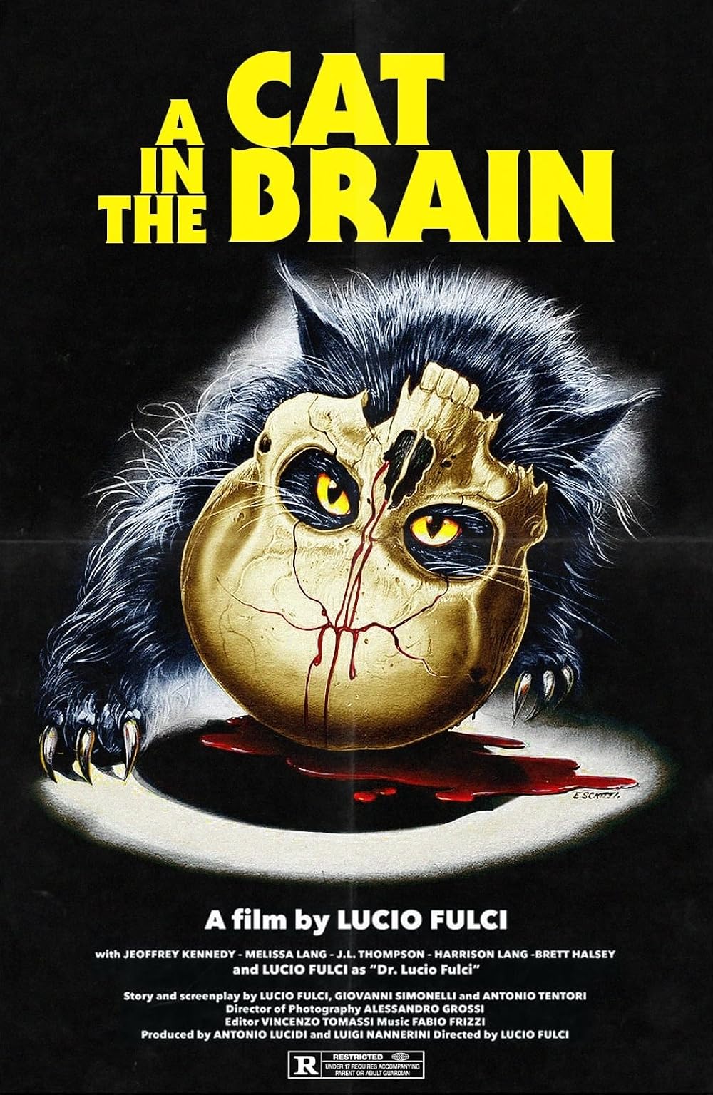 A Cat in the Brain 