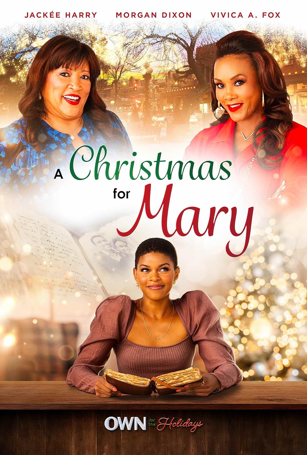 A Christmas for Mary 