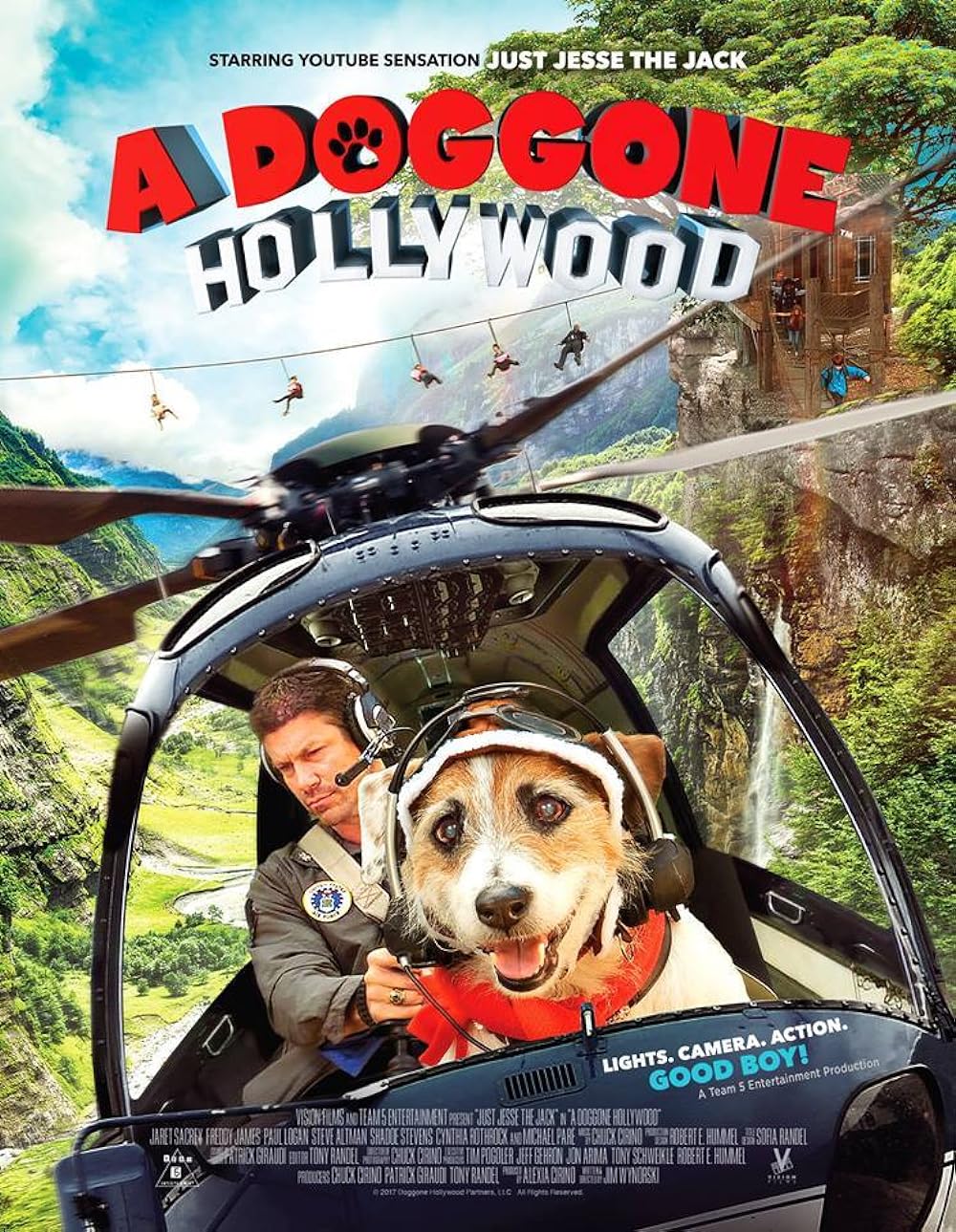 A Doggone Hollywood 