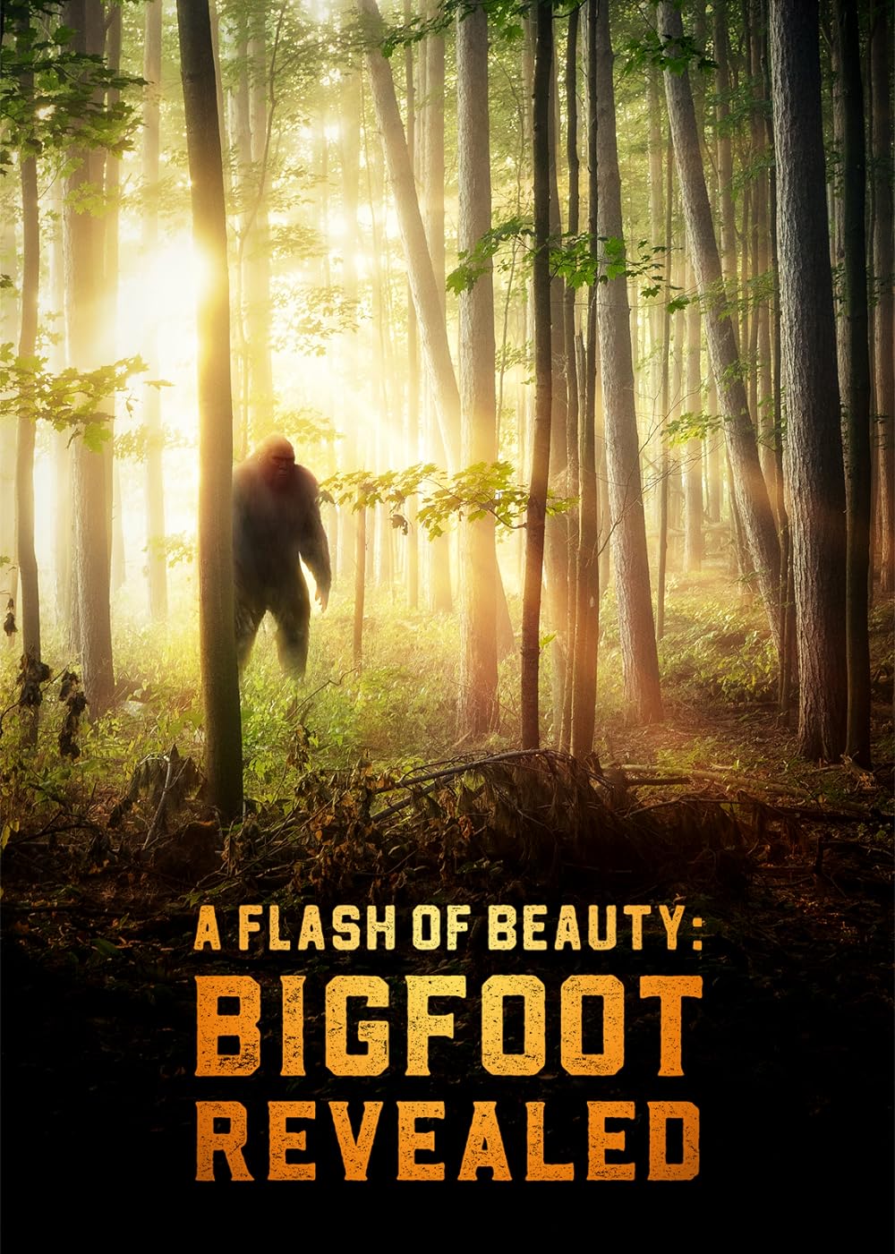 A Flash of Beauty: Bigfoot Revealed 