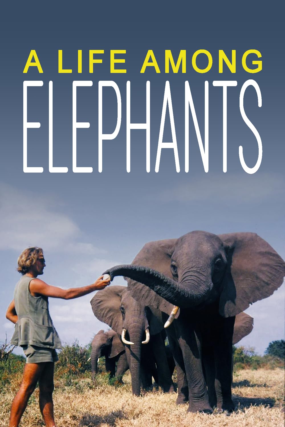 A Life Among Elephants 
