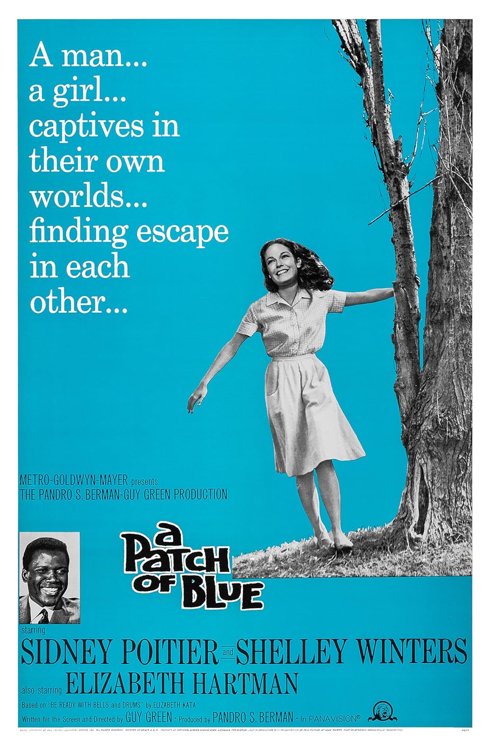 A Patch of Blue 