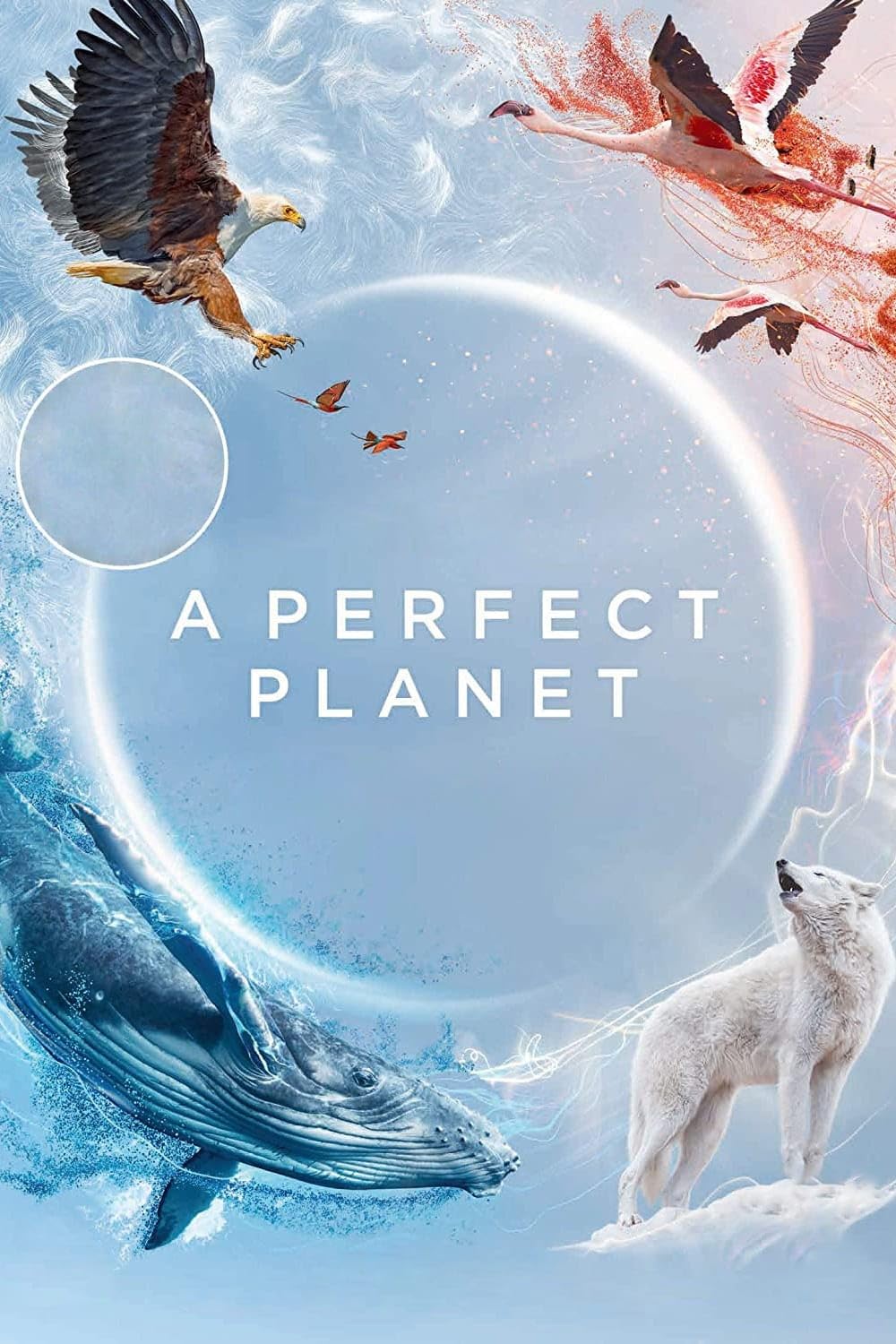 A Perfect Planet 