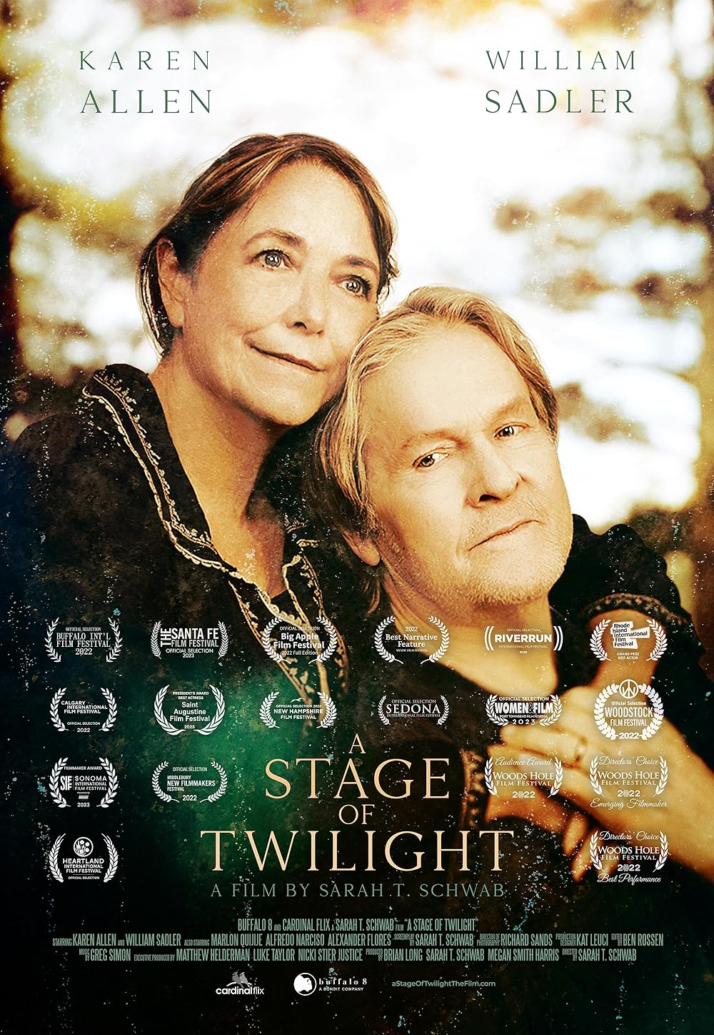A Stage of Twilight 