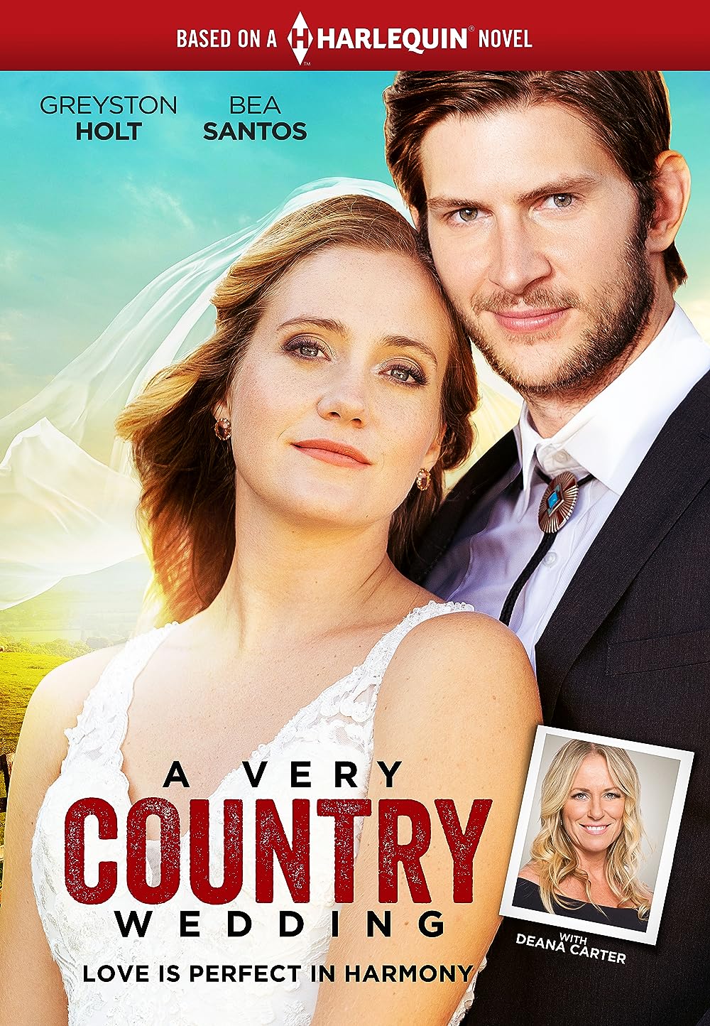 A Very Country Wedding 