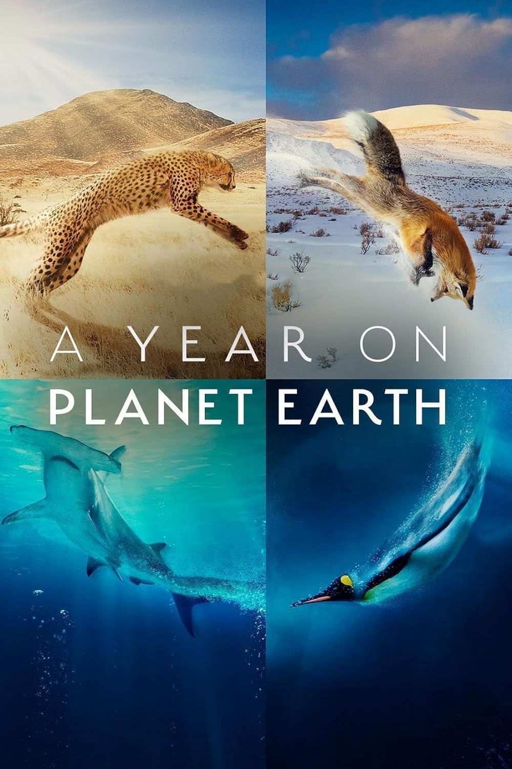 A Year on Planet Earth 