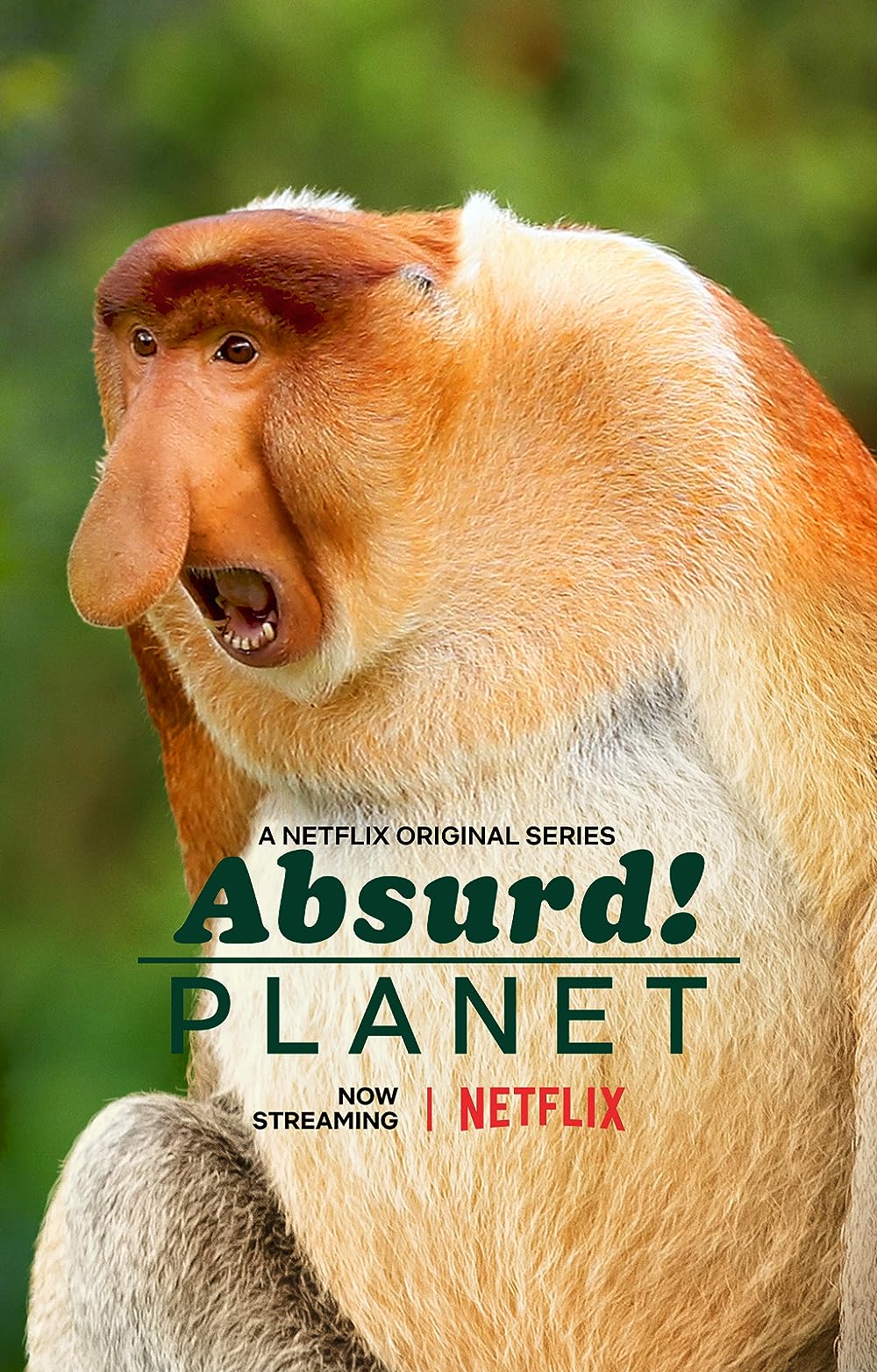 Absurd Planet 