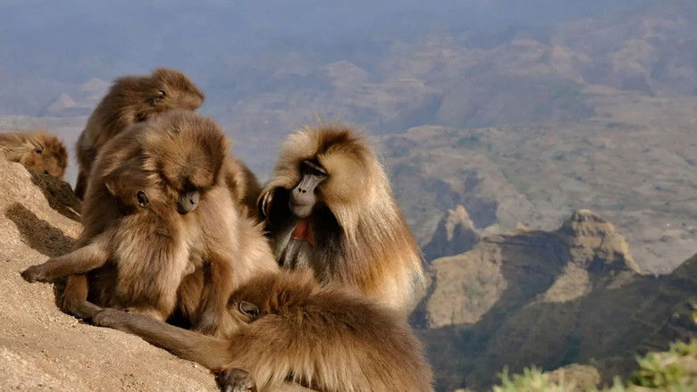 Africa's Hidden Wonders (TV Mini Series 2020) 2020