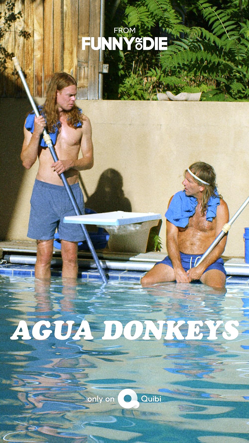 Agua Donkeys 