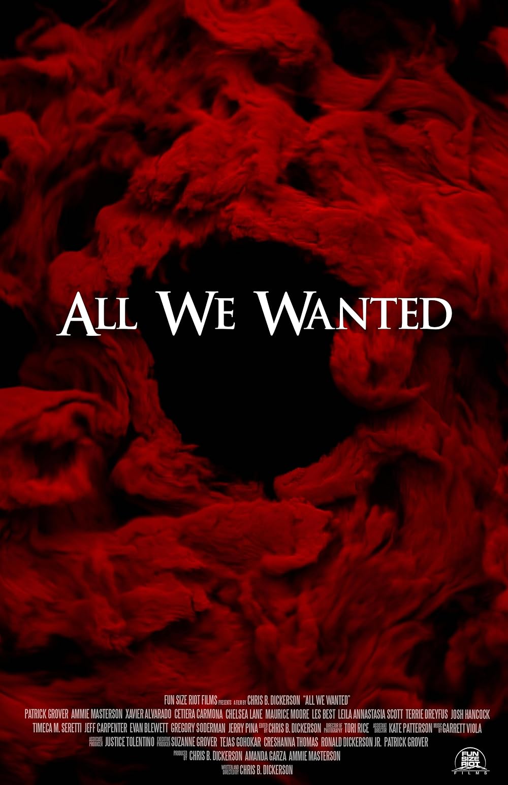 All We Wanted 