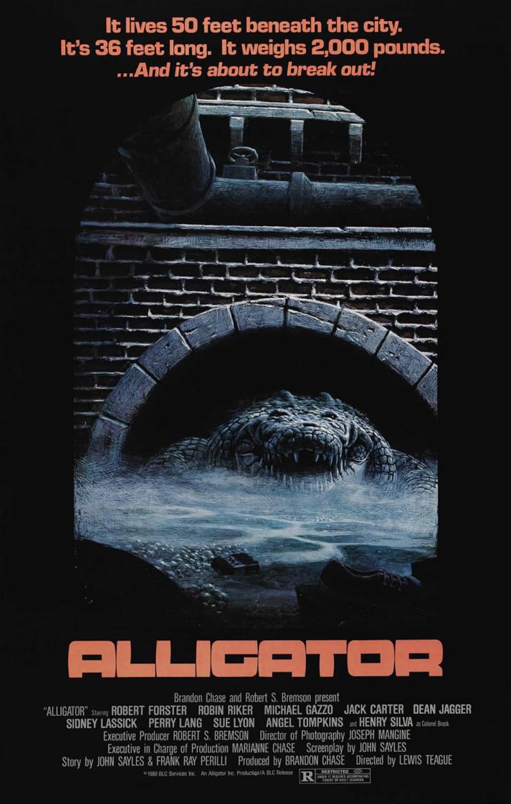 Alligator 