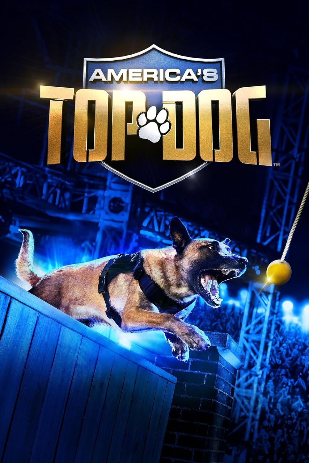 America's Top Dog 