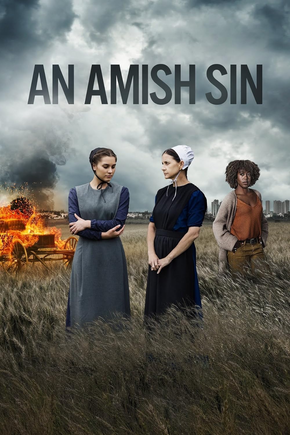 An Amish Sin 