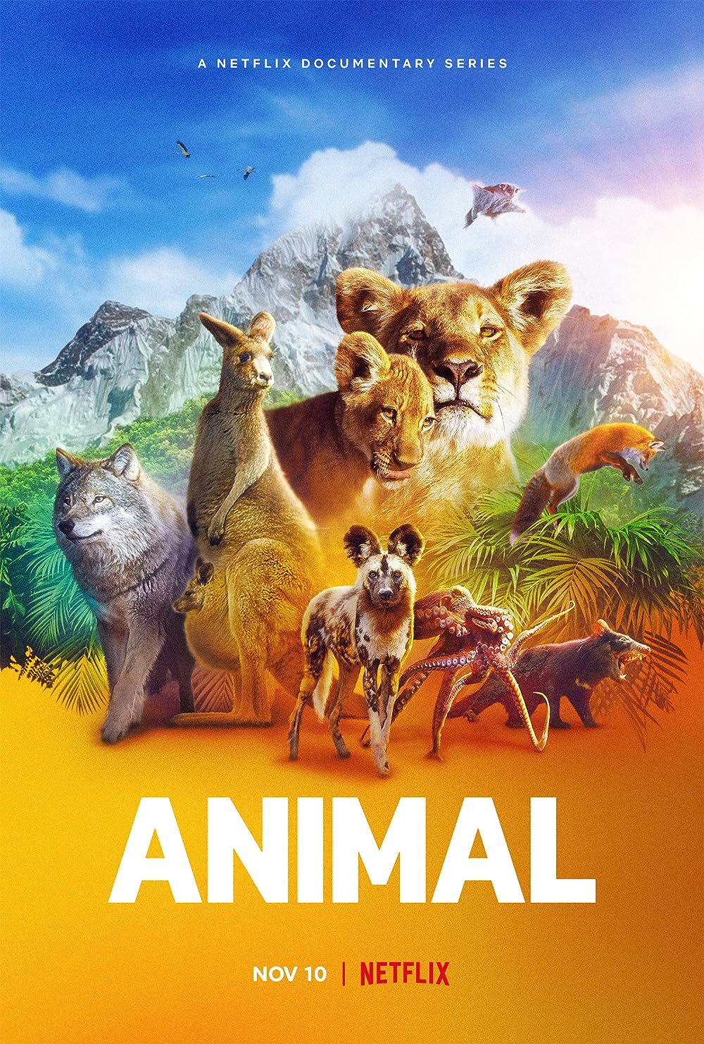 Animal 
