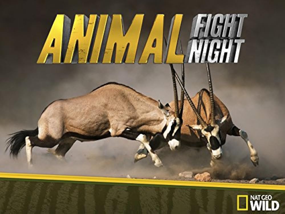 Animal Fight Night 