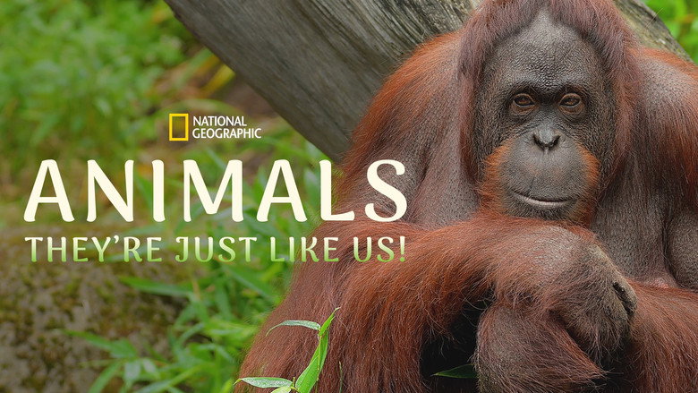Animals, They're Just Like Us! (2025)