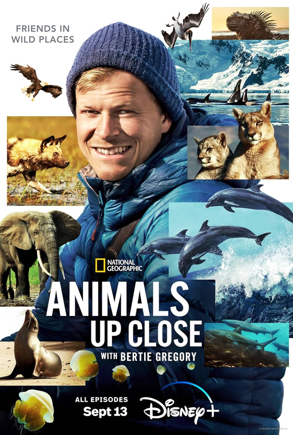Animals Up Close with Bertie Gregory 