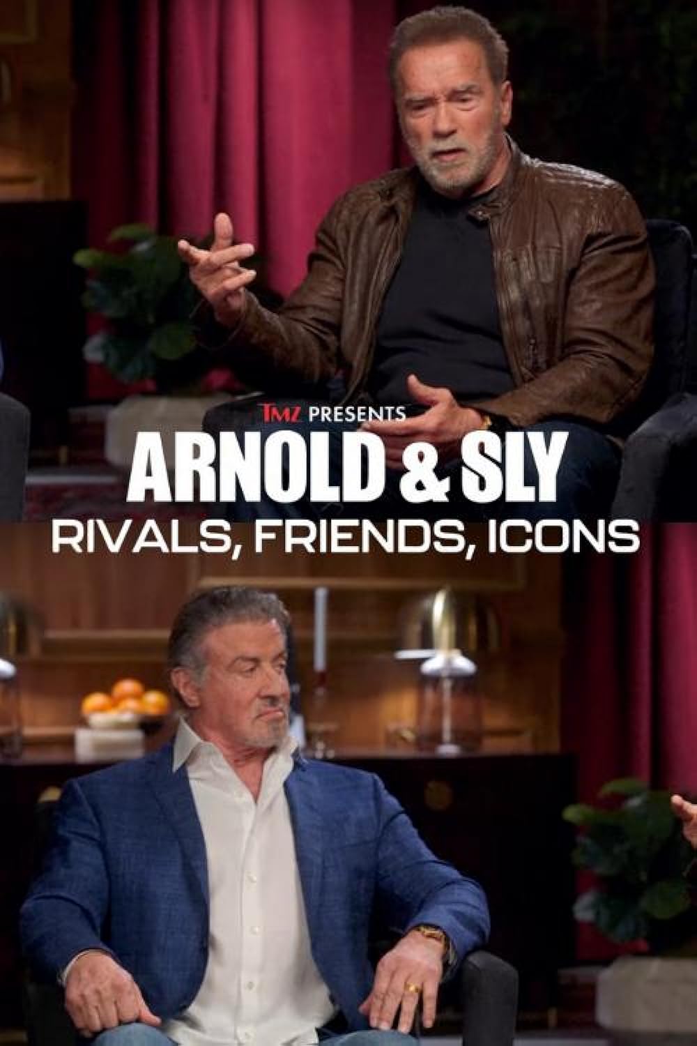 Arnold & Sly: Rivals, Friends, Icons 