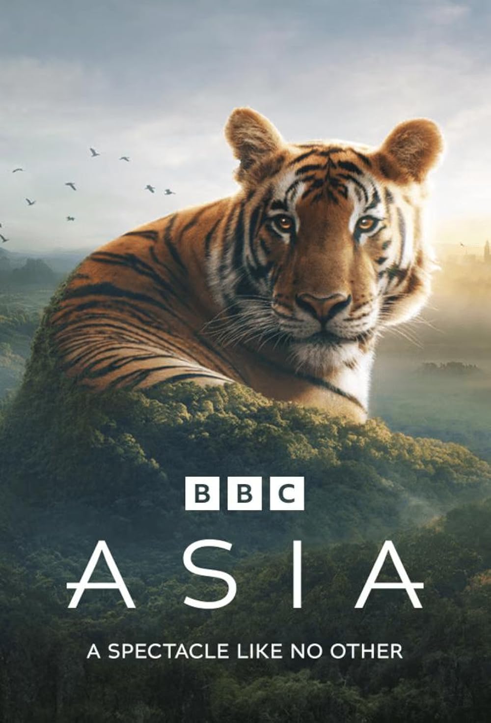 Asia 