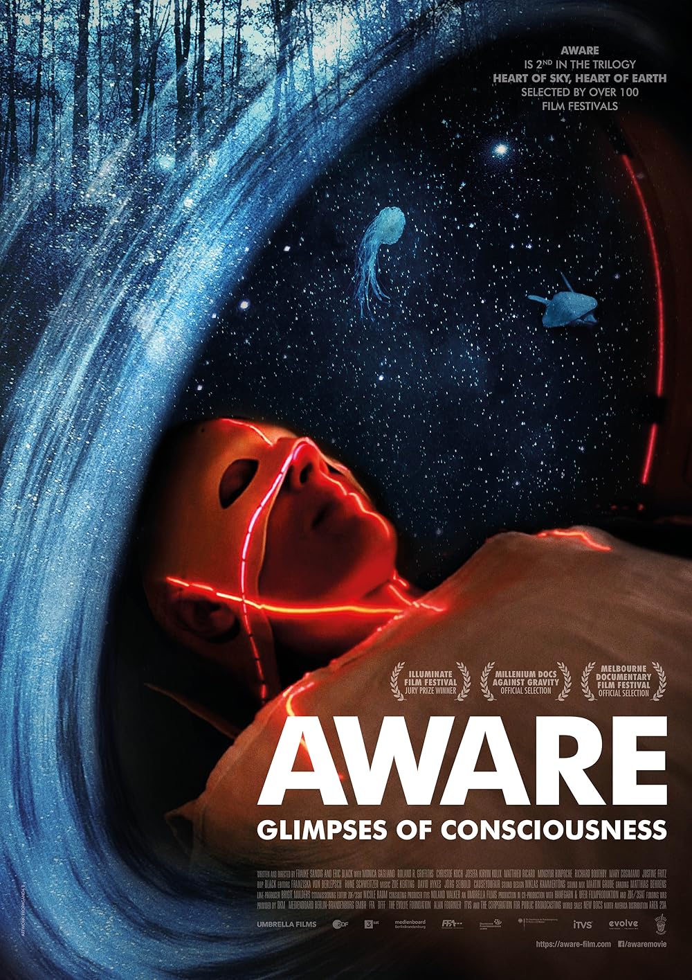 Aware: Glimpses of Consciousness 