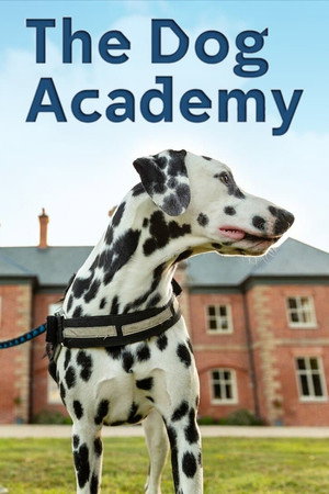 Bad Dog Academy 