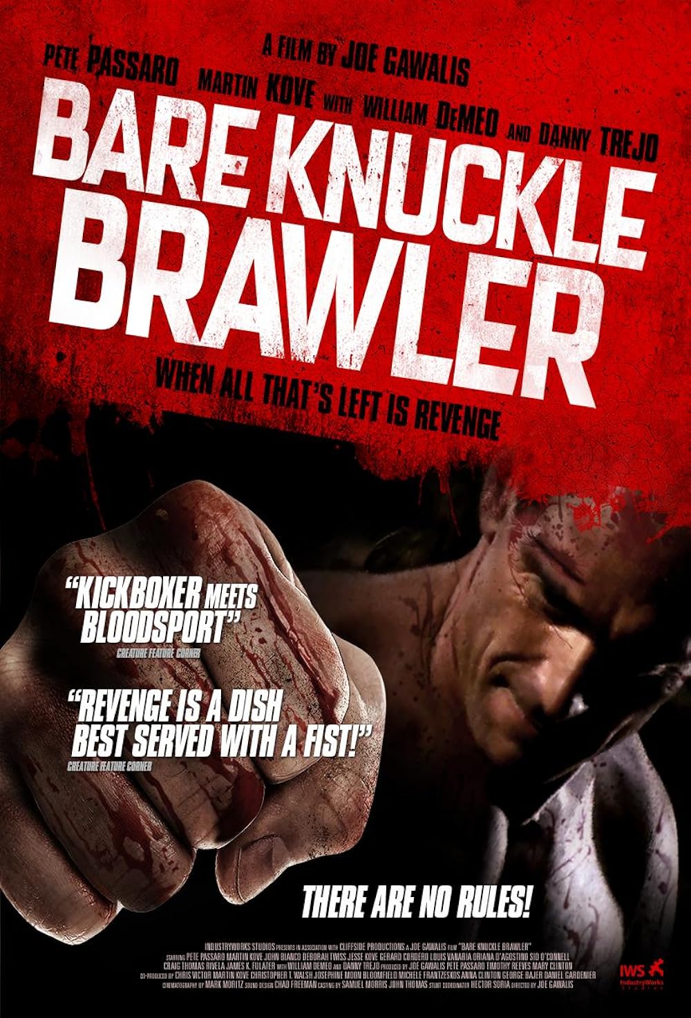 Bare Knuckle Brawler 