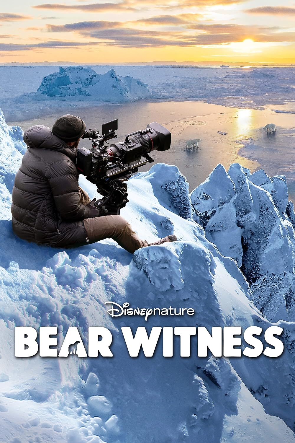 Bear Witness 
