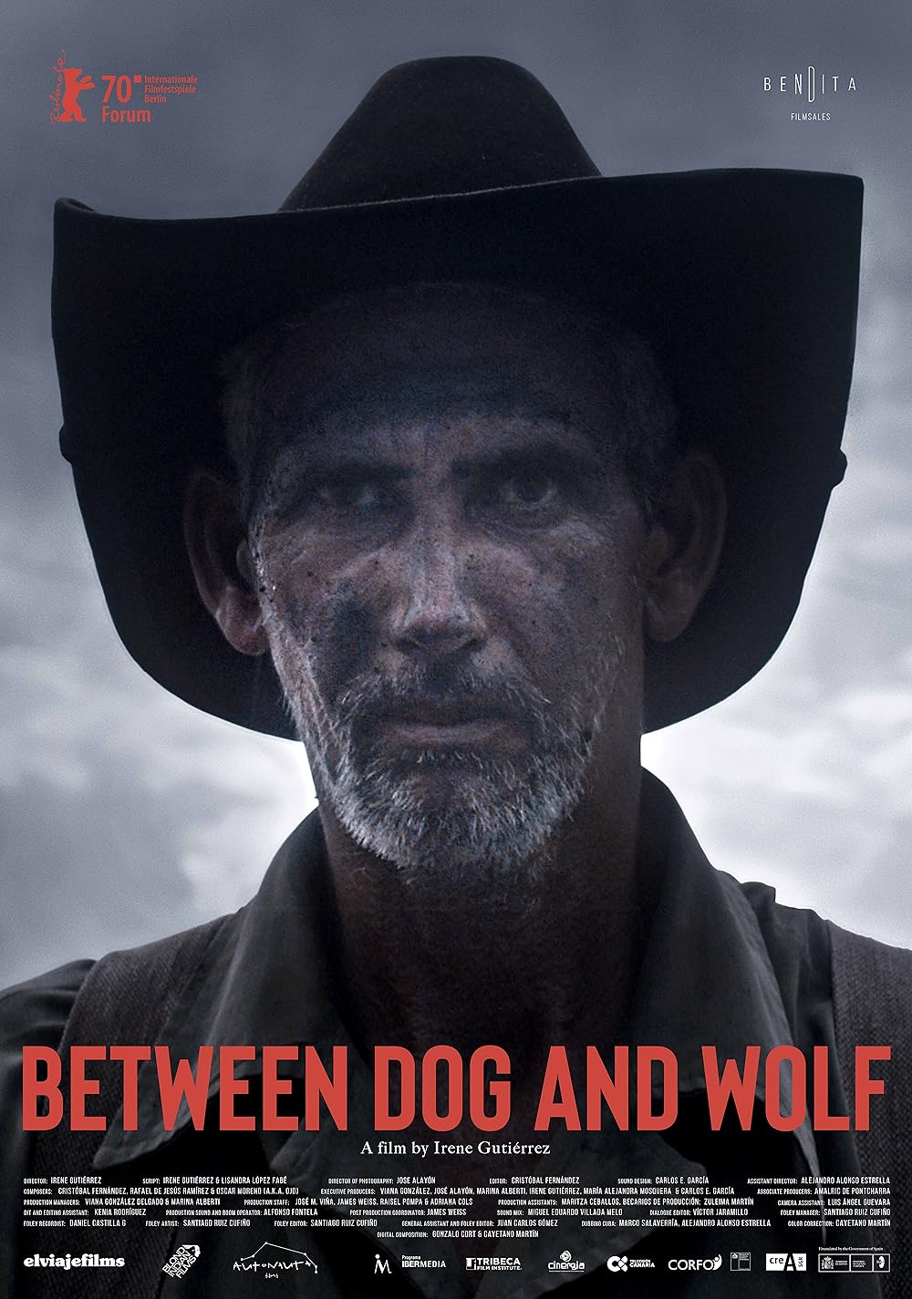 Between Dog and Wolf 