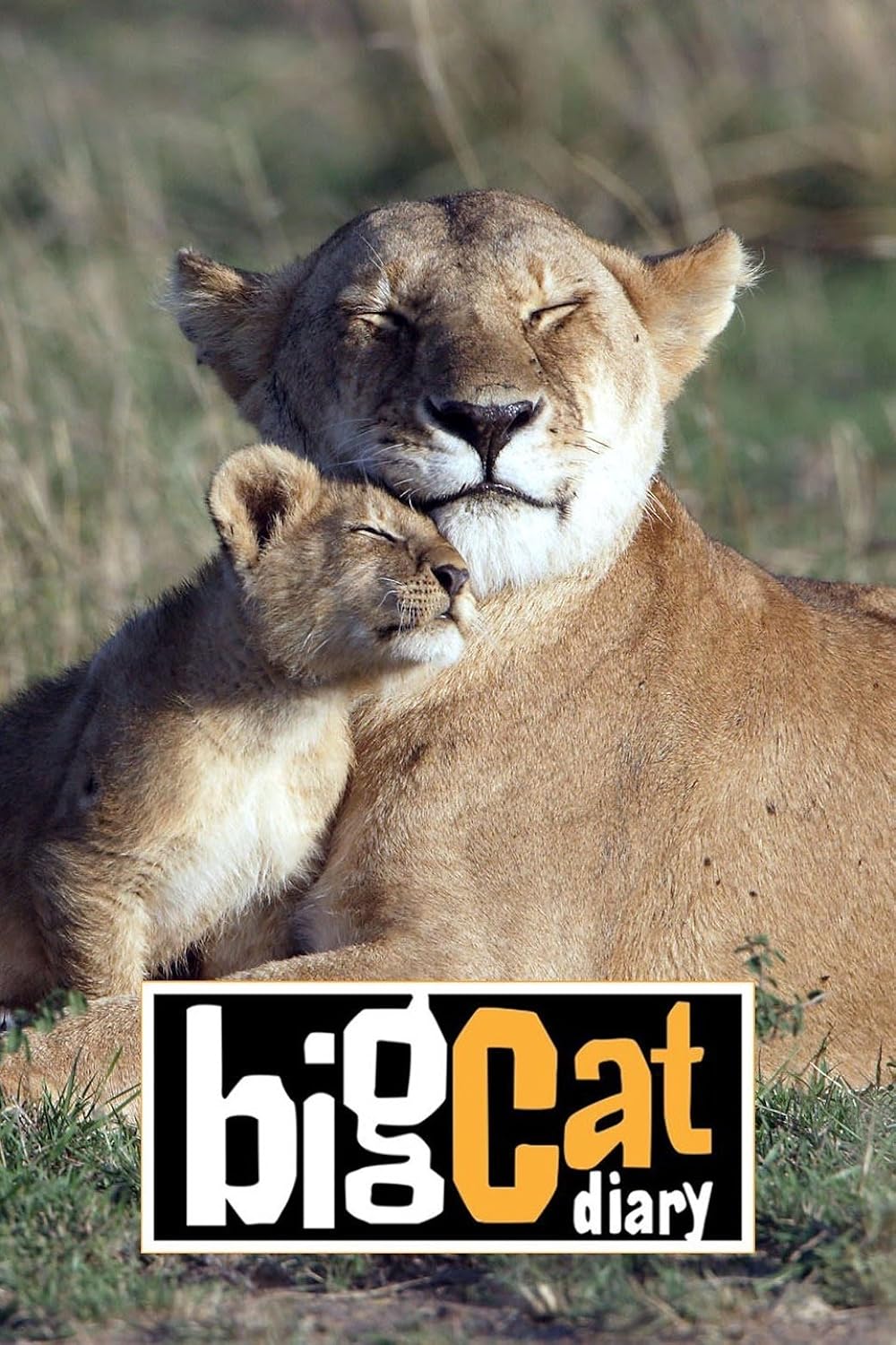Big Cat Diary 