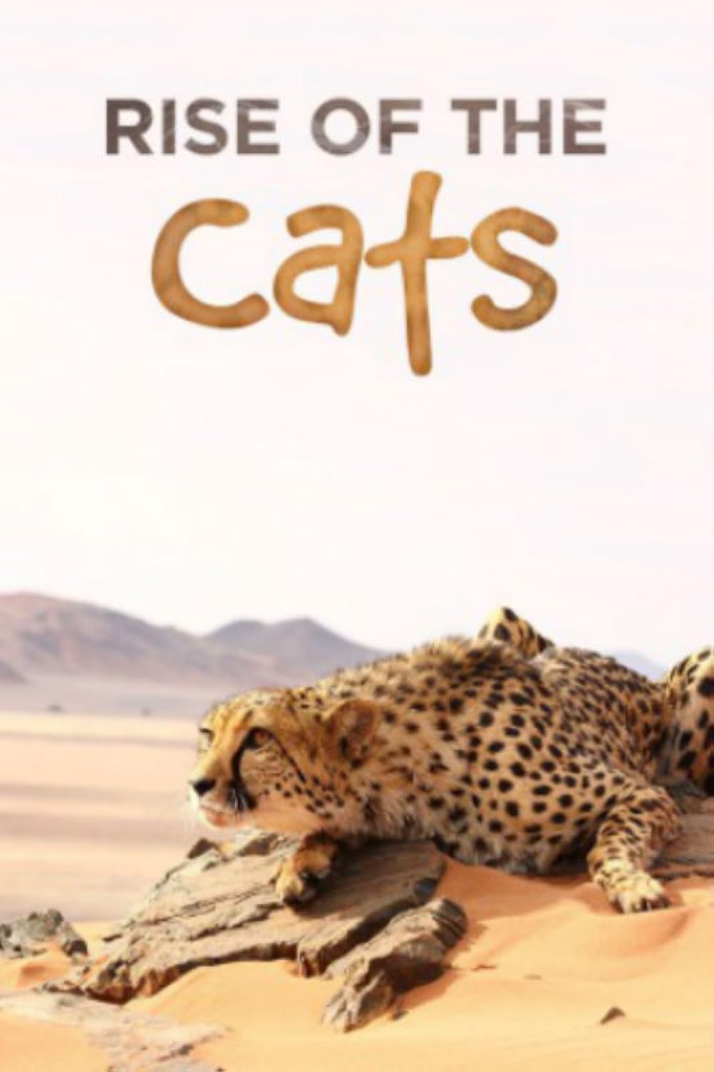 Big Cats: An Amazing Animal Family 
