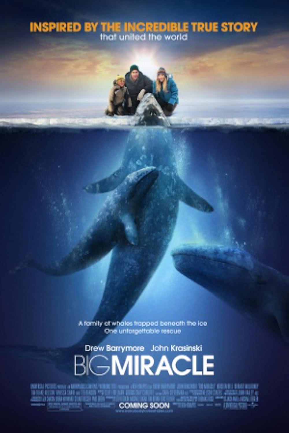 Big Miracle 