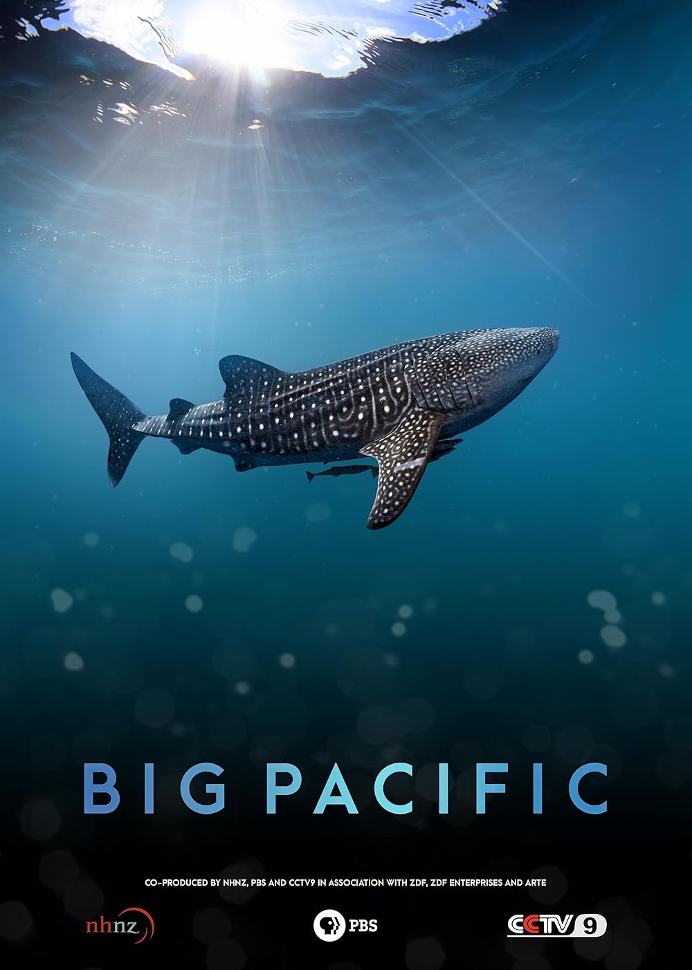 Big Pacific 