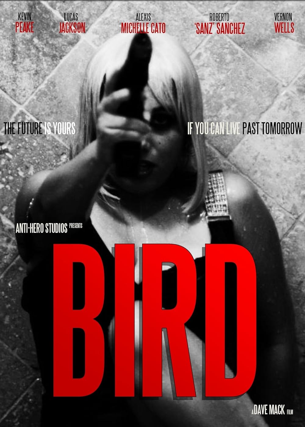 Bird 