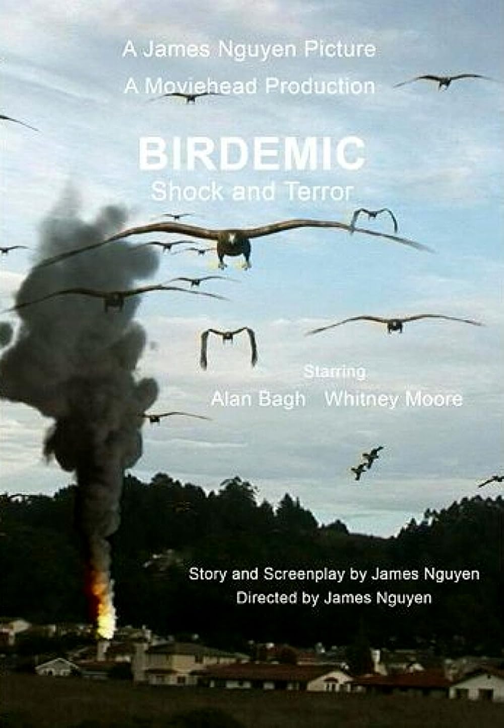 Birdemic: Shock and Terror 