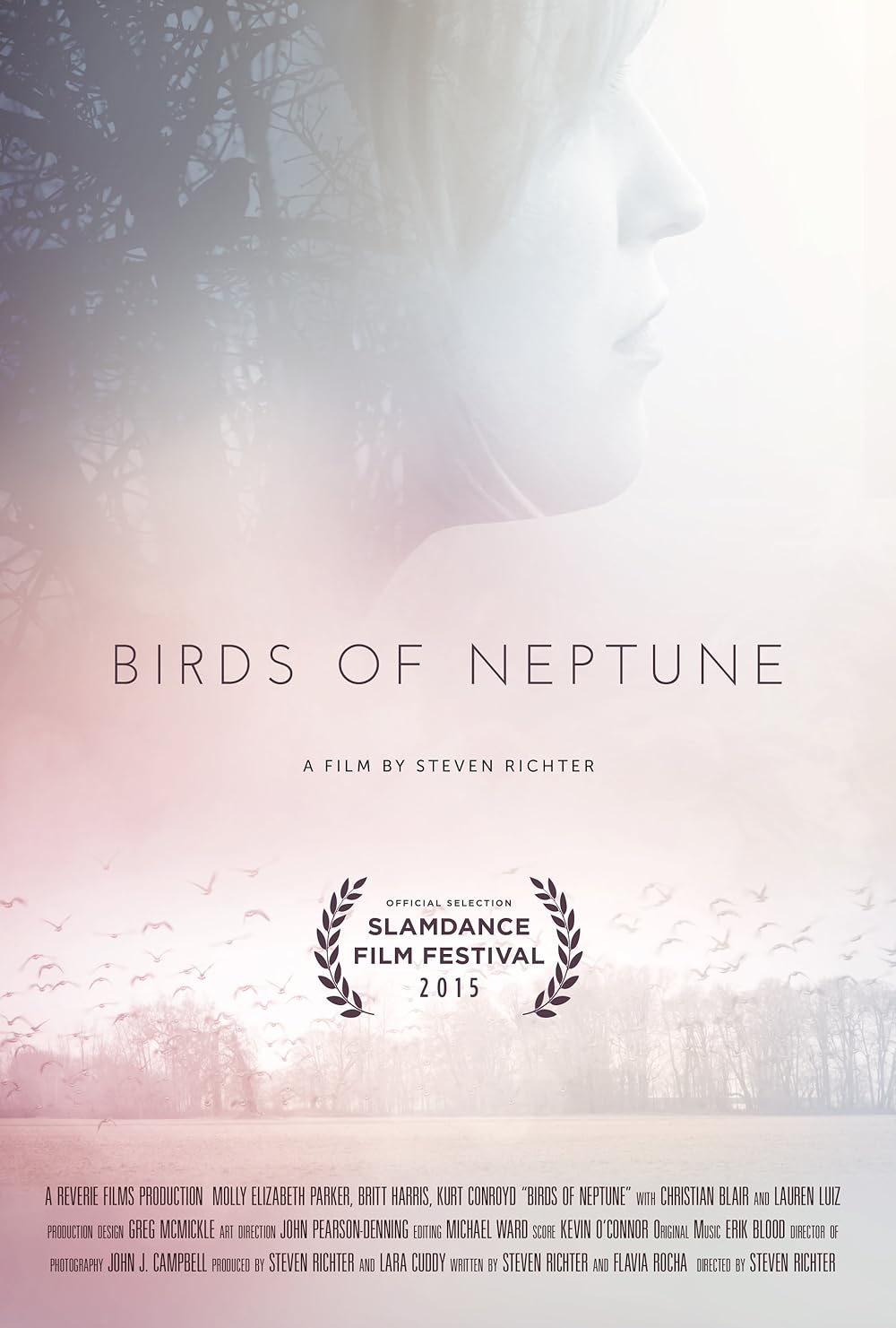 Birds of Neptune 