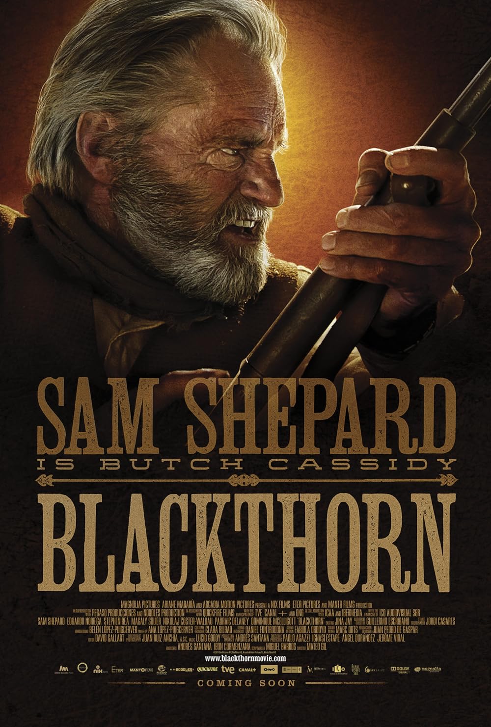 Blackthorn 