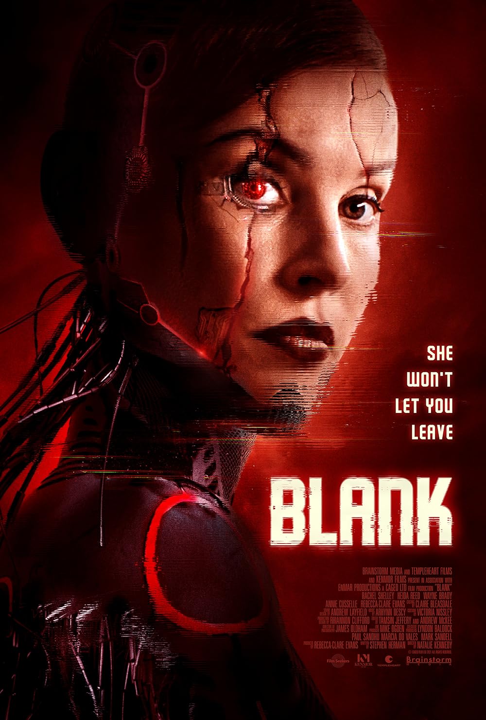 Blank 