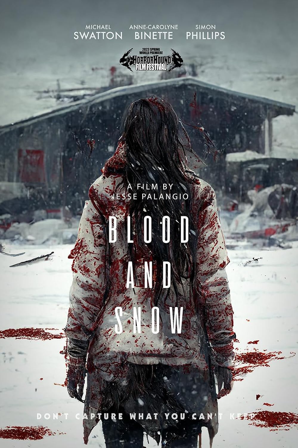 Blood and Snow 