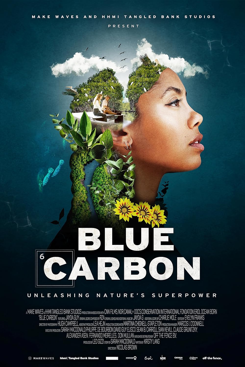 Blue Carbon 