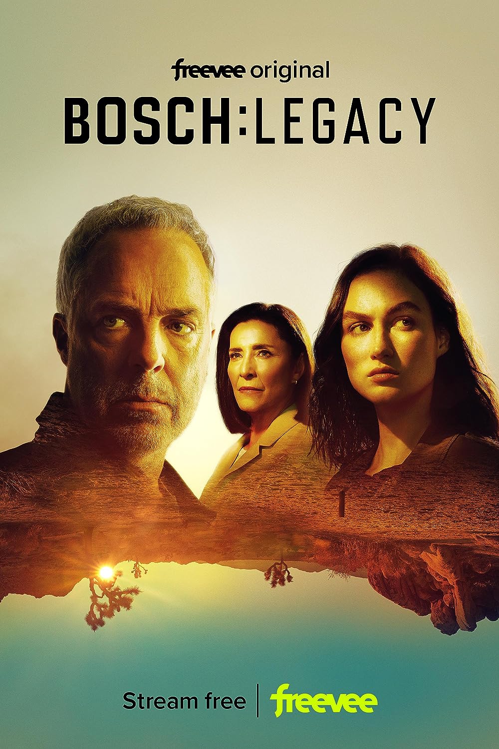 Bosch: Legacy 