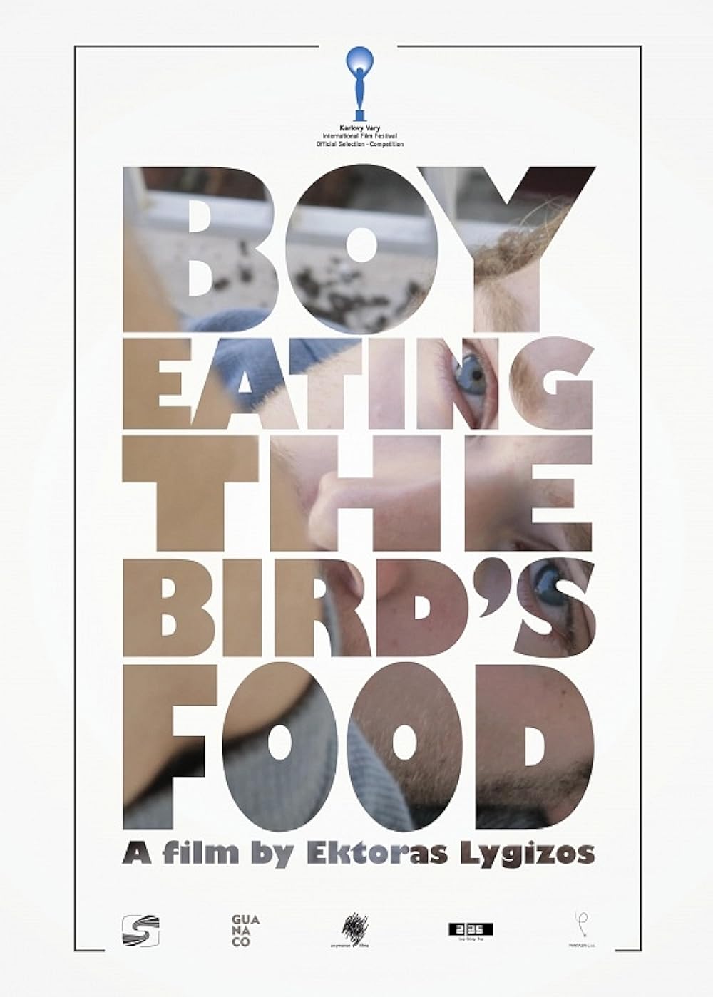 Boy Eating the Bird's Food 