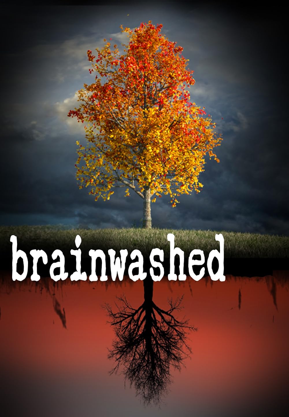 Brainwashed 