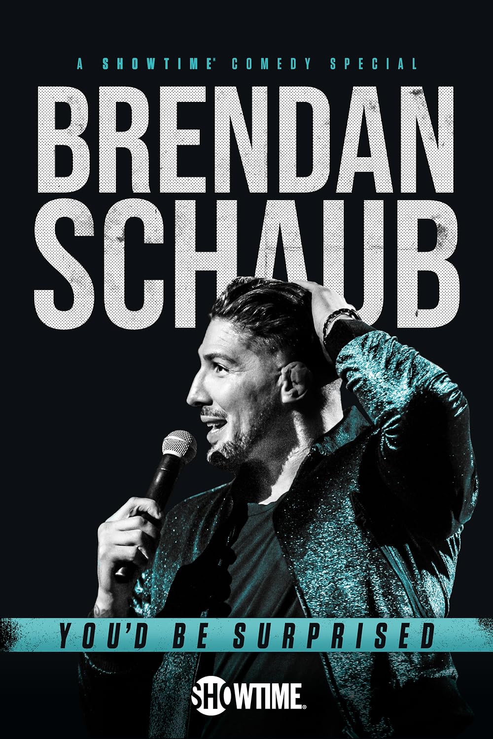 Brendan Schaub: You'd Be Surprised 