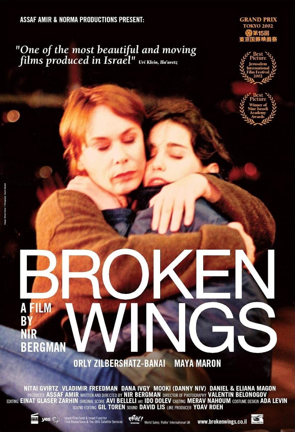 Broken Wings 