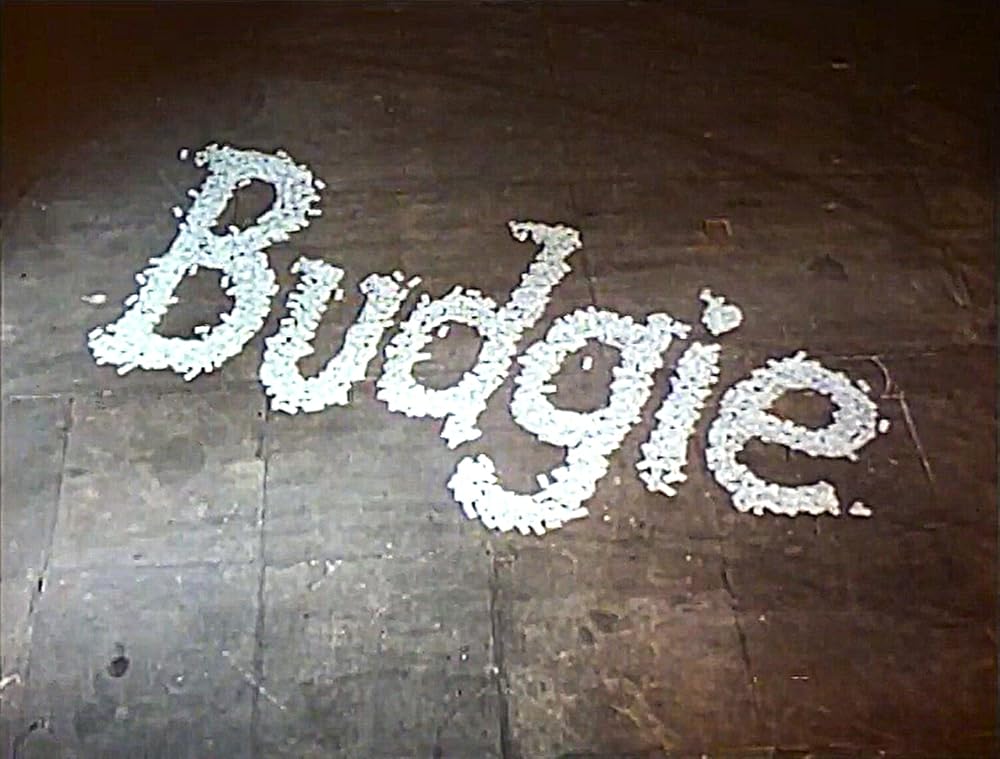Budgie (1971)