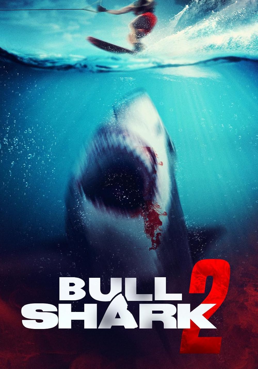 Bull Shark 2 