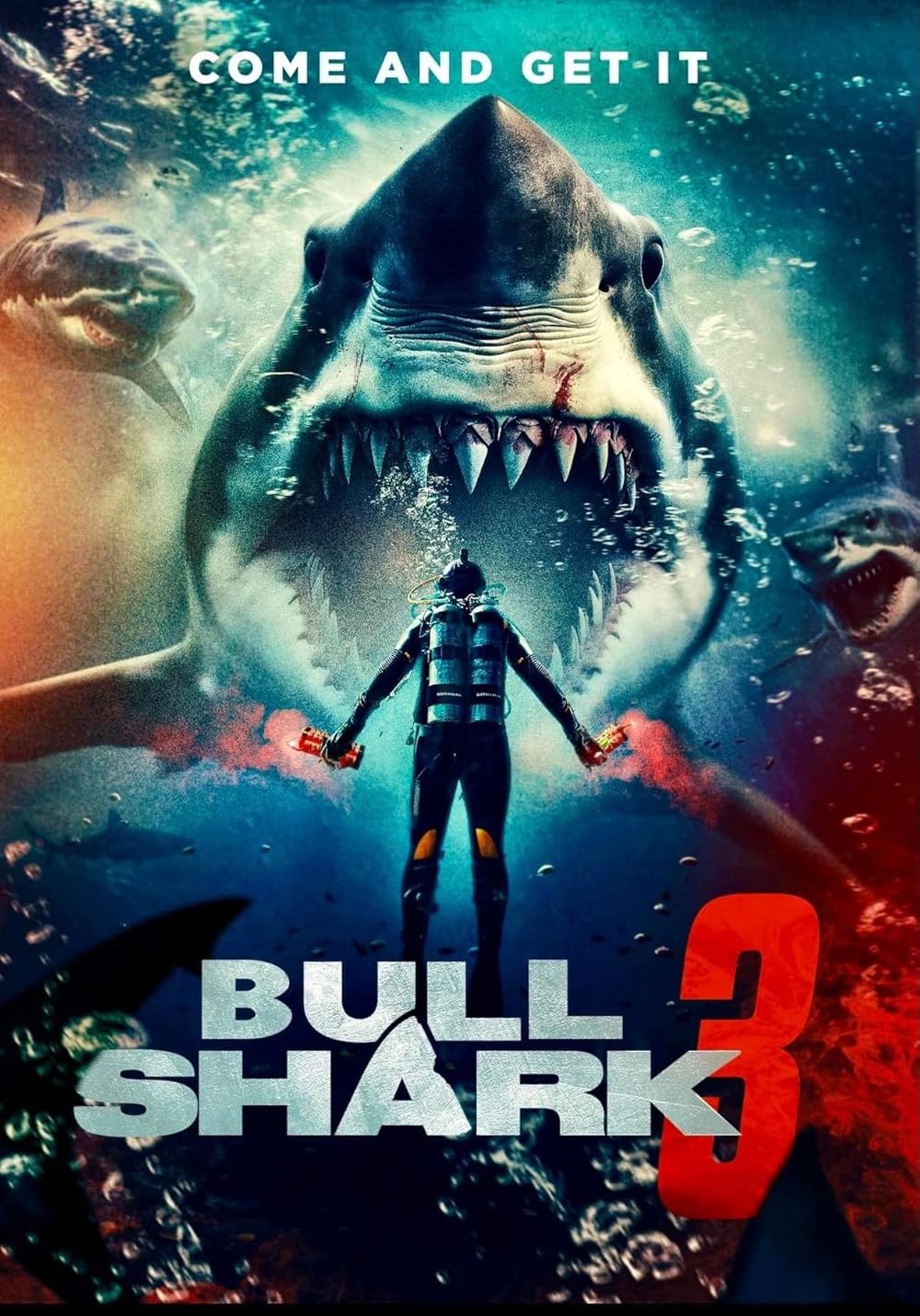 Bull Shark 3 