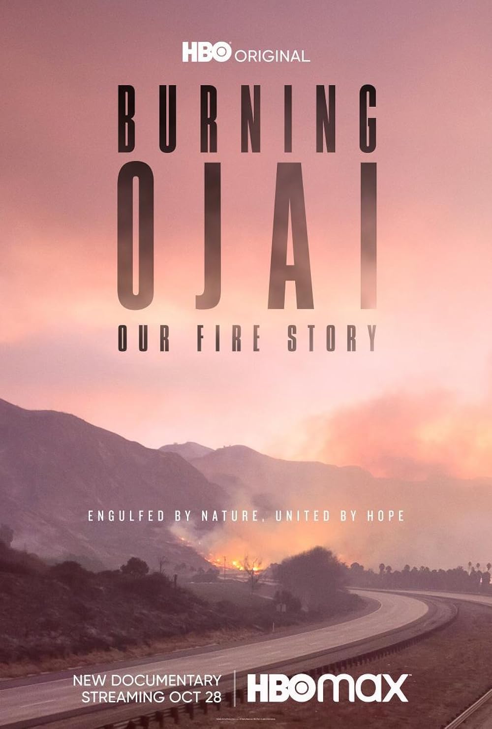 Burning Ojai: Our Fire Story 