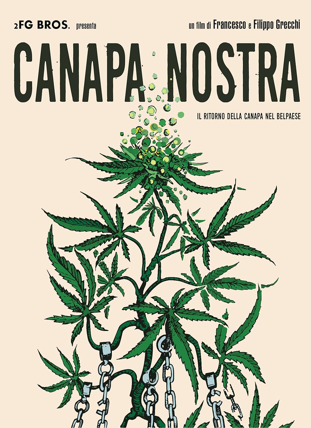 Canapa nostra 